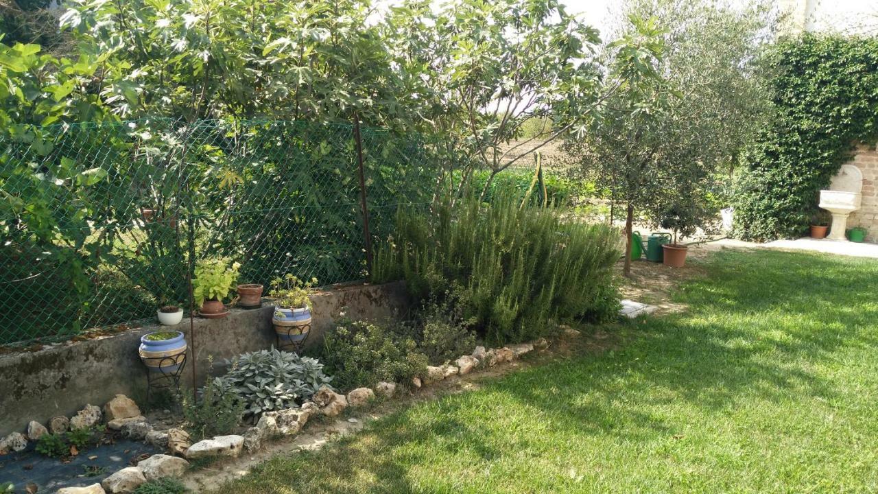 L'Albero Della Gioia Acomodação com café da manhã Villanova sull'Arda Exterior foto
